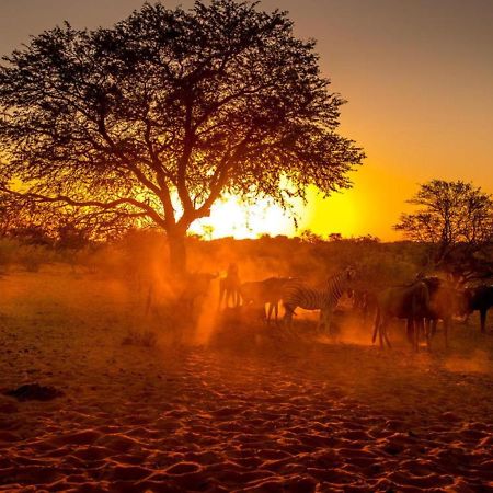 Bagatelle Kalahari Boutique Farmhouse Lodge マリエンタール エクステリア 写真