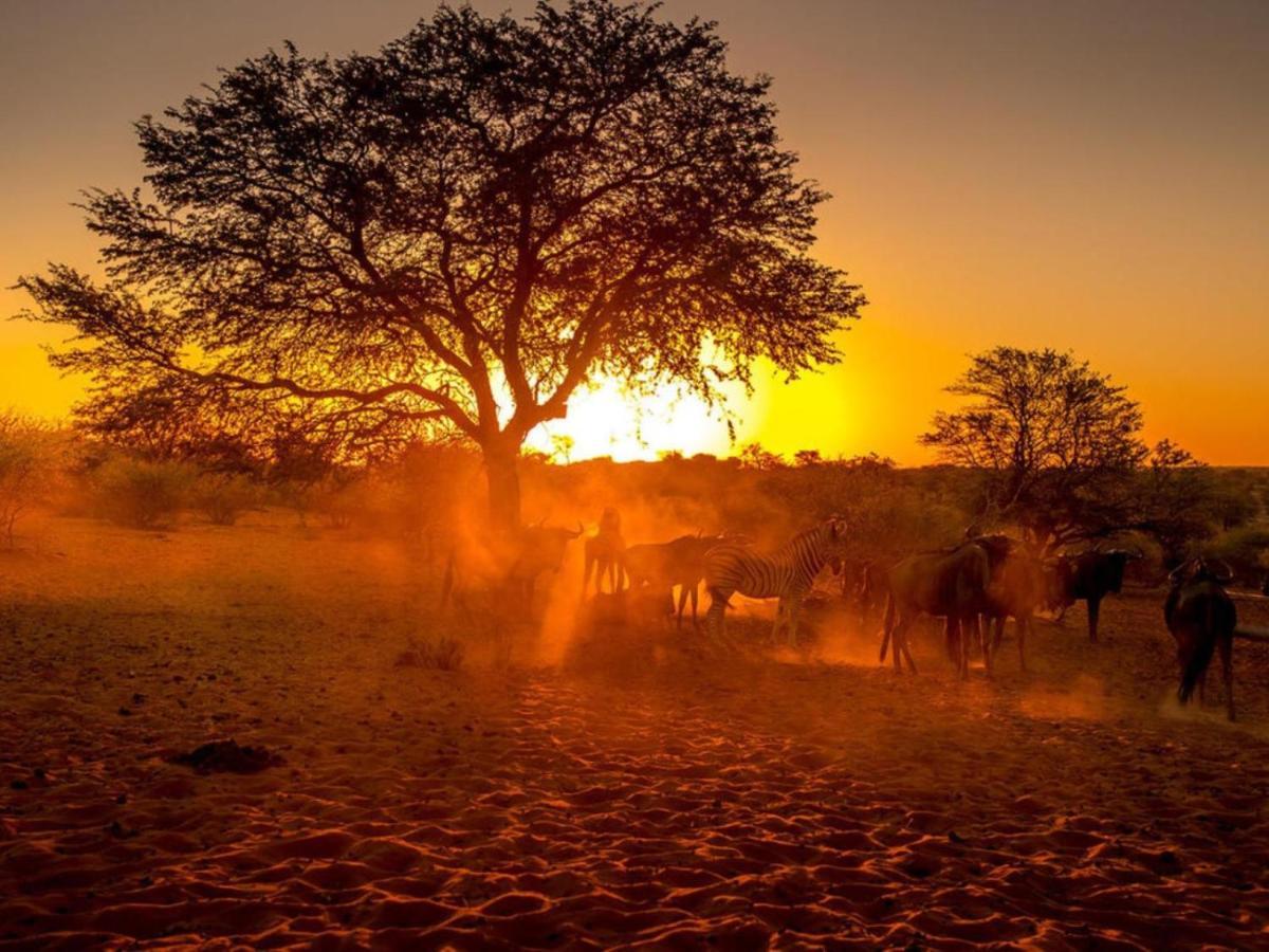 Bagatelle Kalahari Boutique Farmhouse Lodge マリエンタール エクステリア 写真